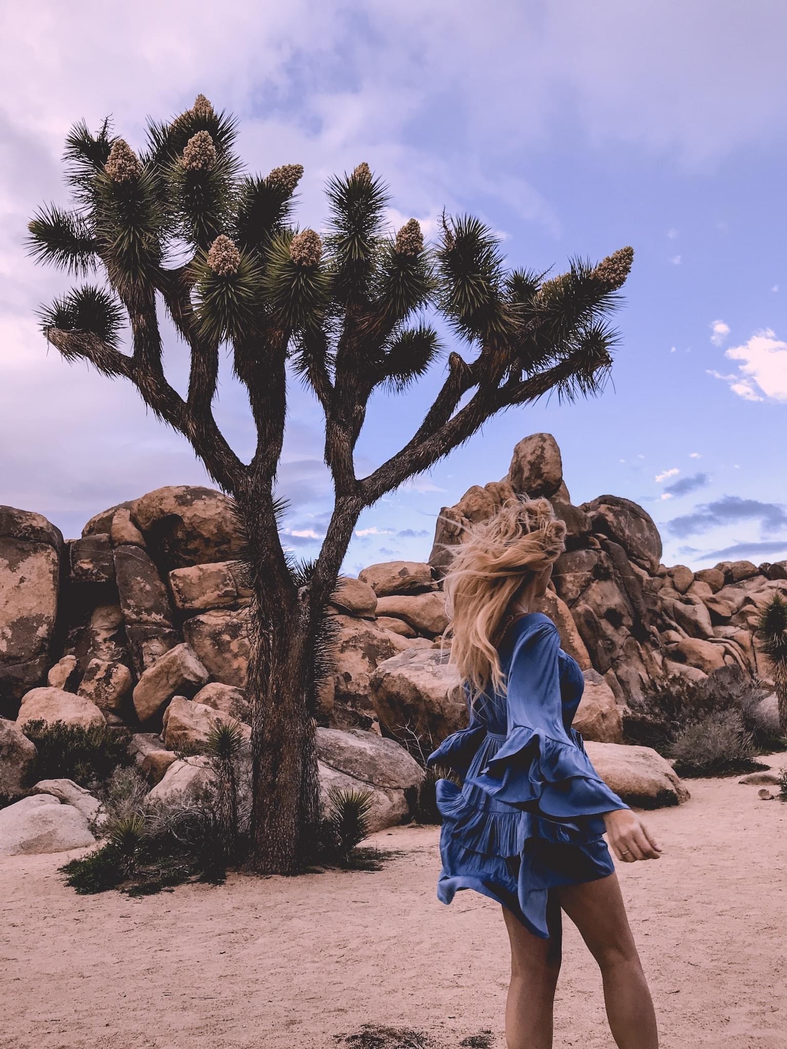 Insta Worthy Filters Course - Lightroom Presets Course passive income (Hofit Kim Cohen - Vanilla Sky Dreaming)